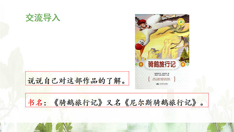 统编版小学语文六年级下册第二单元 6《骑鹅旅行记(节选)》教学课件第4页