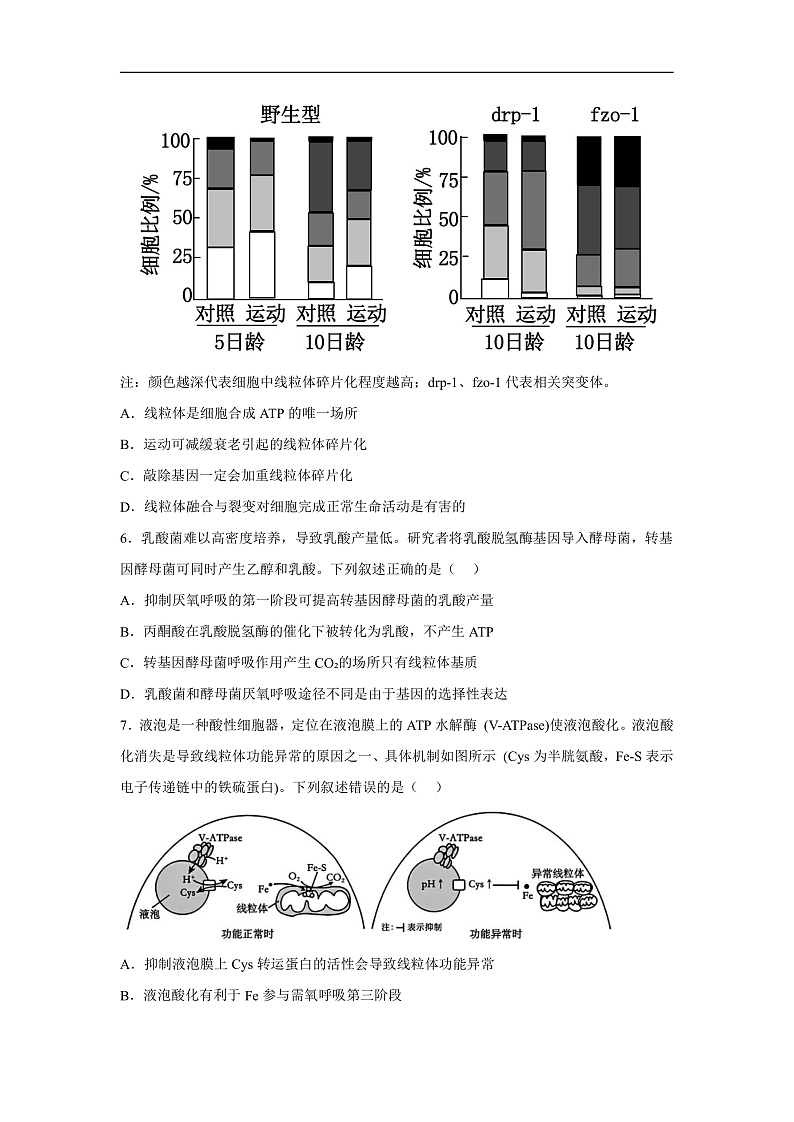 高中生物一轮复习第三单元细胞的能量供应和利用单元检测B卷含解析答案第3页