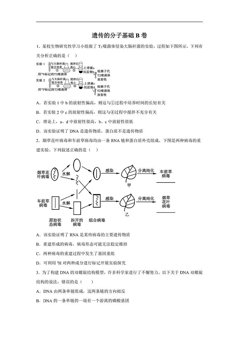 高中生物一轮复习第六单元遗传的分子基础单元检测B卷含解析答案第1页