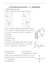 辽宁省大连市2024-2025学年高二上学期期末物理试卷
