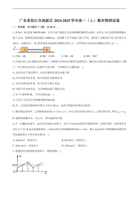 广东省阳江市高新区2024-2025学年高一(上)期末物理试卷
