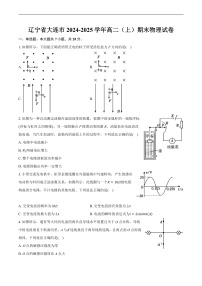 辽宁省大连市2024-2025学年高二上学期期末物理试卷