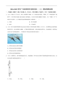 2024-2025学年广东省深圳市龙岗区高一（上）期末物理试卷