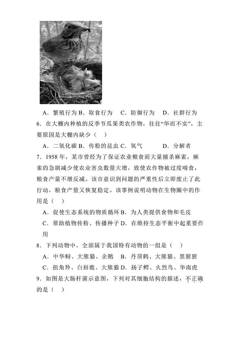 河北省廊坊市2024-2025学年八年级上学期期末 生物试题(含解析)第2页