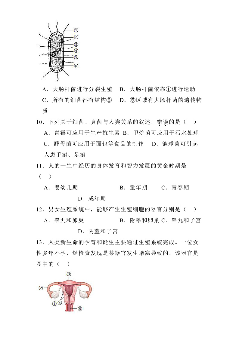 河北省廊坊市2024-2025学年八年级上学期期末 生物试题(含解析)第3页