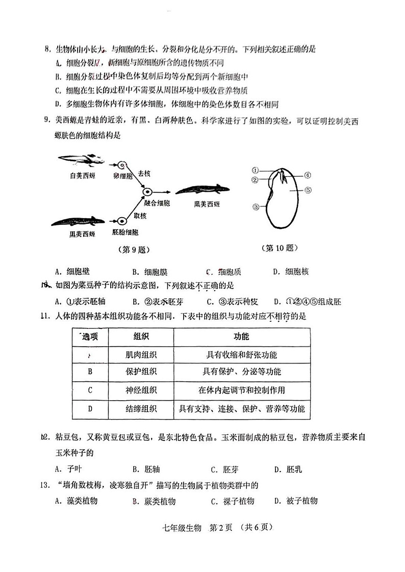 吉林省长春市净月高新区2024-2025学年七年级上学期 生物期末试卷第2页