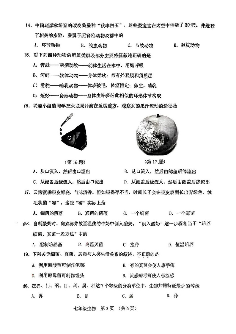 吉林省长春市净月高新区2024-2025学年七年级上学期 生物期末试卷第3页