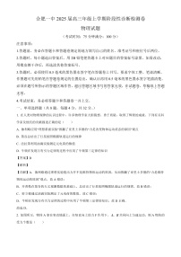 安徽省合肥市第一中学2024-2025学年高三上学期12月阶段检测 物理试题（含解析）