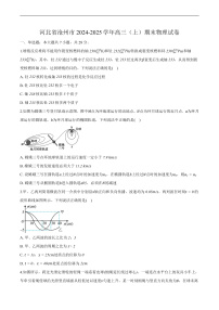 河北省沧州市2024-2025学年高三（上学期）期末 物理试卷