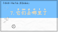 小学科学教科版（2024）一年级下册（2024）7.它们去哪里了一等奖ppt课件