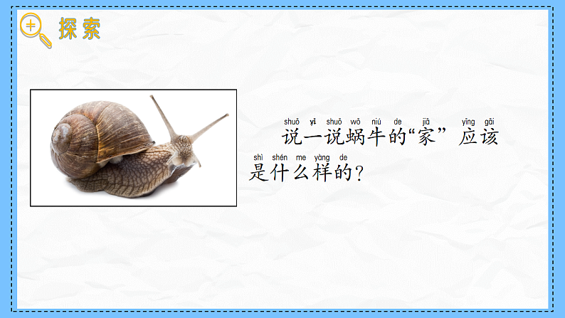 教科版科学一年级下册2.3《给蜗牛建个“家”》课件第4页