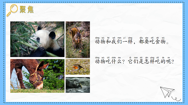 教科版科学一年级下册2.5《它们吃什么》课件第2页