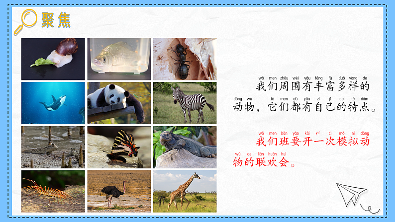 教科版科学一年级下册2.6《动物联欢会》课件第6页