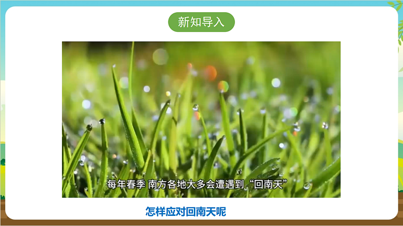 广州版八年级劳技上册 主题四《妙招应对回南天》(第二课时)课件第4页