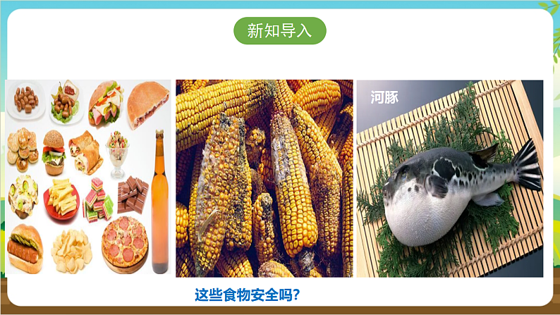 广州版八年级劳技上册 主题五《食品安全我关注》(第二课时)课件第4页