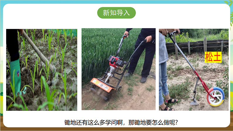 广州版八年级劳技下册 主题一《锄地松土不怕累》(第一课时)课件第4页