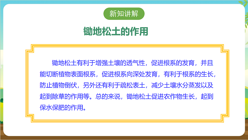 广州版八年级劳技下册 主题一《锄地松土不怕累》(第一课时)课件第6页