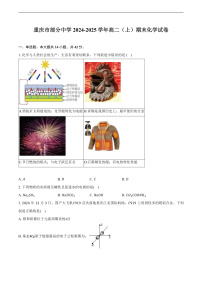 重庆市部分中学2024-2025学年高二（上）期末化学试卷（含解析）