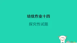 2024九年級(jí)物理全冊(cè)培優(yōu)作業(yè)十四探究性試題習(xí)題課件新版蘇科版
