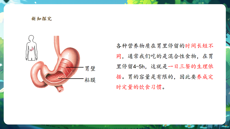 【核心素養(yǎng)】冀少版生物七下3.1.3.2食物在胃腸內(nèi)的消化 課件第8頁
