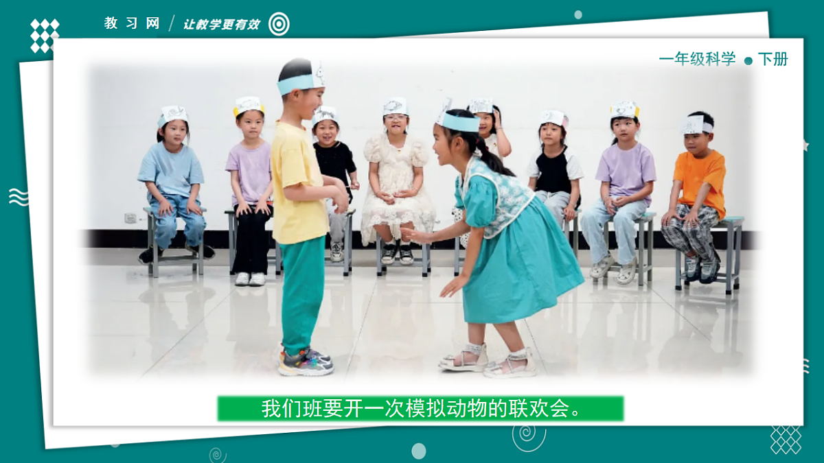 【新教材】一年级下册科学2.6动物联欢会 教学PPT课件 教科版(2024)第6页
