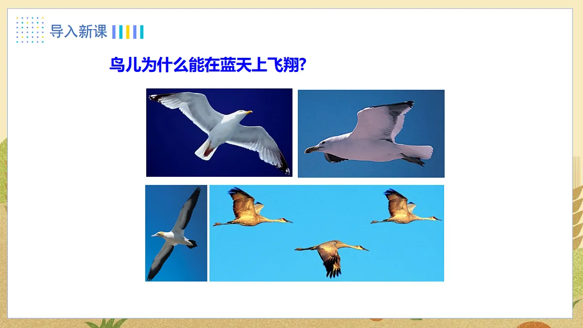 4.第四节 流体压强与流速的关系第2页