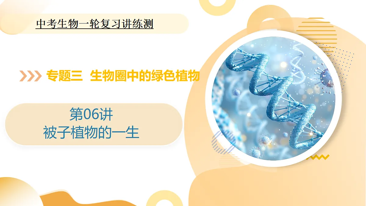 中考生物一轮复习 第06讲 被子植物的一生 课件第1页