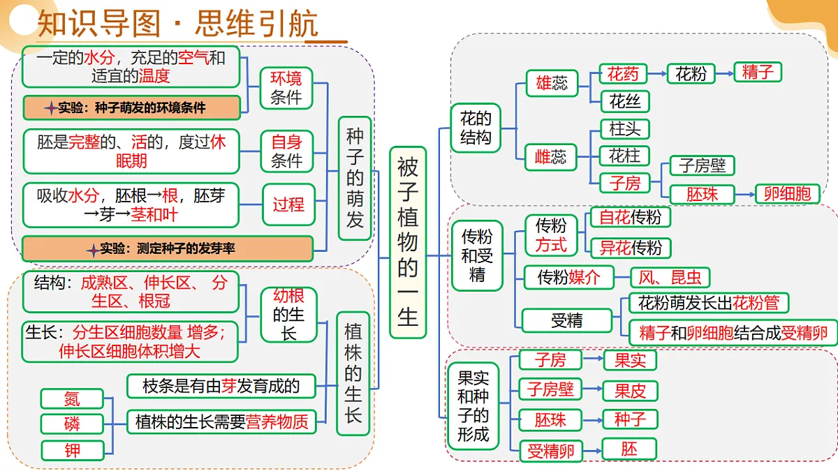 中考生物一轮复习 第06讲 被子植物的一生 课件第4页