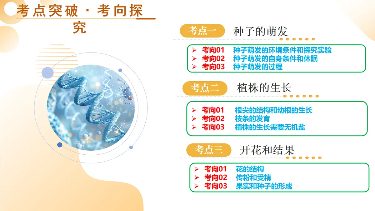 中考生物一轮复习 第06讲 被子植物的一生 课件第5页