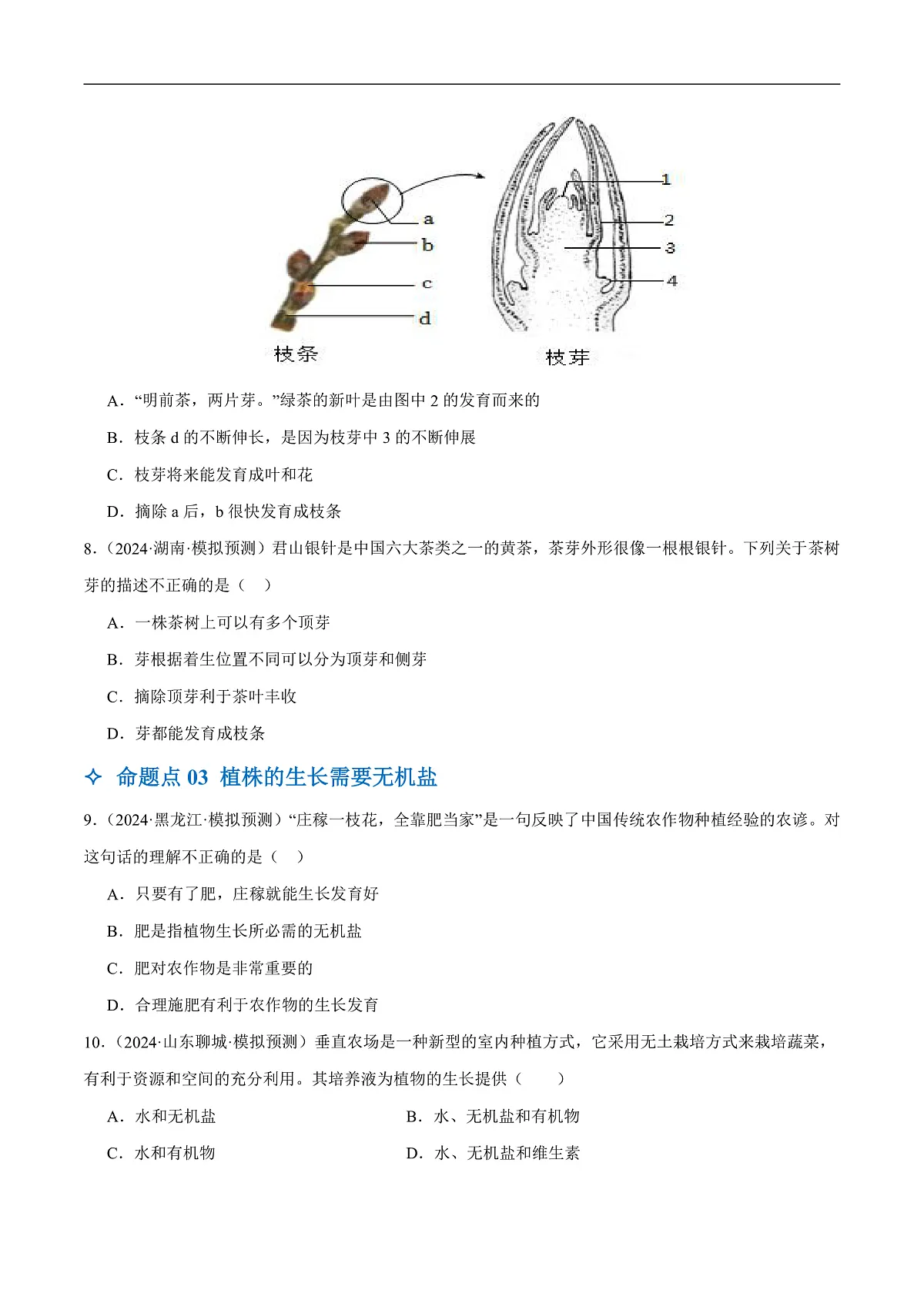 中考生物一轮复习 第06讲 被子植物的一生(5大命题点分层精练)(原卷版)第3页