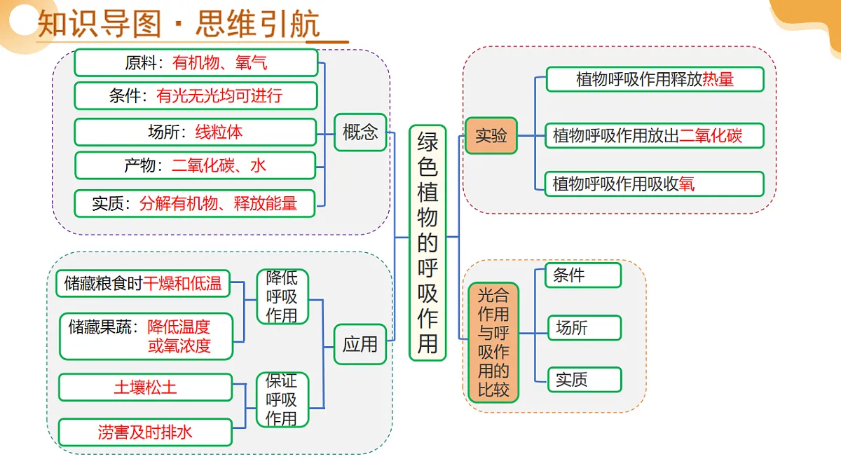 中考生物一轮复习 第09讲 绿色植物的呼吸作用 课件第4页