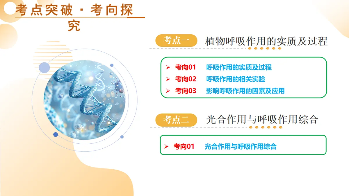 中考生物一轮复习 第09讲 绿色植物的呼吸作用 课件第5页
