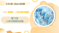 2025年中考生物一轮复习 第13讲 人体内物质的运输 课件+练习+讲义