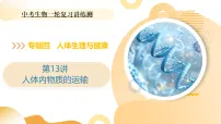 2025年中考生物一轮复习 第13讲 人体内物质的运输 课件+练习+讲义