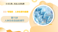 2025年中考生物一轮复习 第15讲 人体生命活动的调节 课件+练习+讲义
