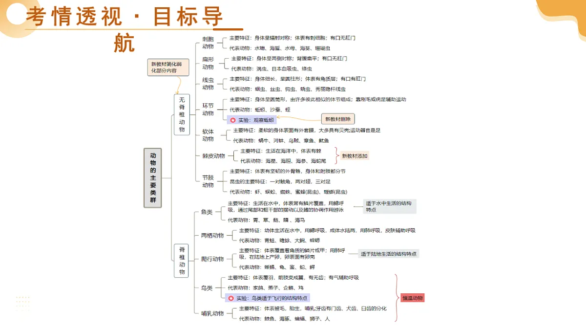 中考生物一轮复习 第17讲 动物的主要类群 课件第4页