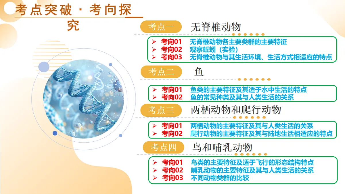中考生物一轮复习 第17讲 动物的主要类群 课件第5页