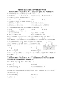 四川省成都市树德中学2024-2025学年高三下学期开学考试数学试题（PDF版附答案）