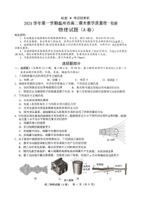 浙江省温州市2024-2025学年高二上学期期末考试物理试题（PDF版附答案）