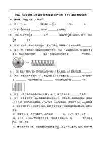 2023-2024学年山东省济南市高新区六年级（上）期末数学试卷