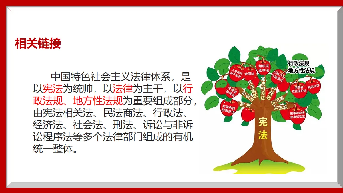 16749558第8页