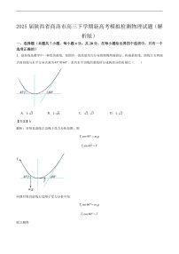 2025届陕西省商洛市高三下学期新高考模拟检测物理试题（解析版）