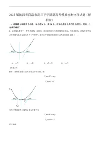 2025届陕西省商洛市高三下学期新高考模拟检测物理试题(解析版)