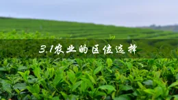 3.1農(nóng)業(yè)的區(qū)位選擇（優(yōu)質(zhì)精講課件）-2024-2025學(xué)年高一地理（魯教版2019必修二）