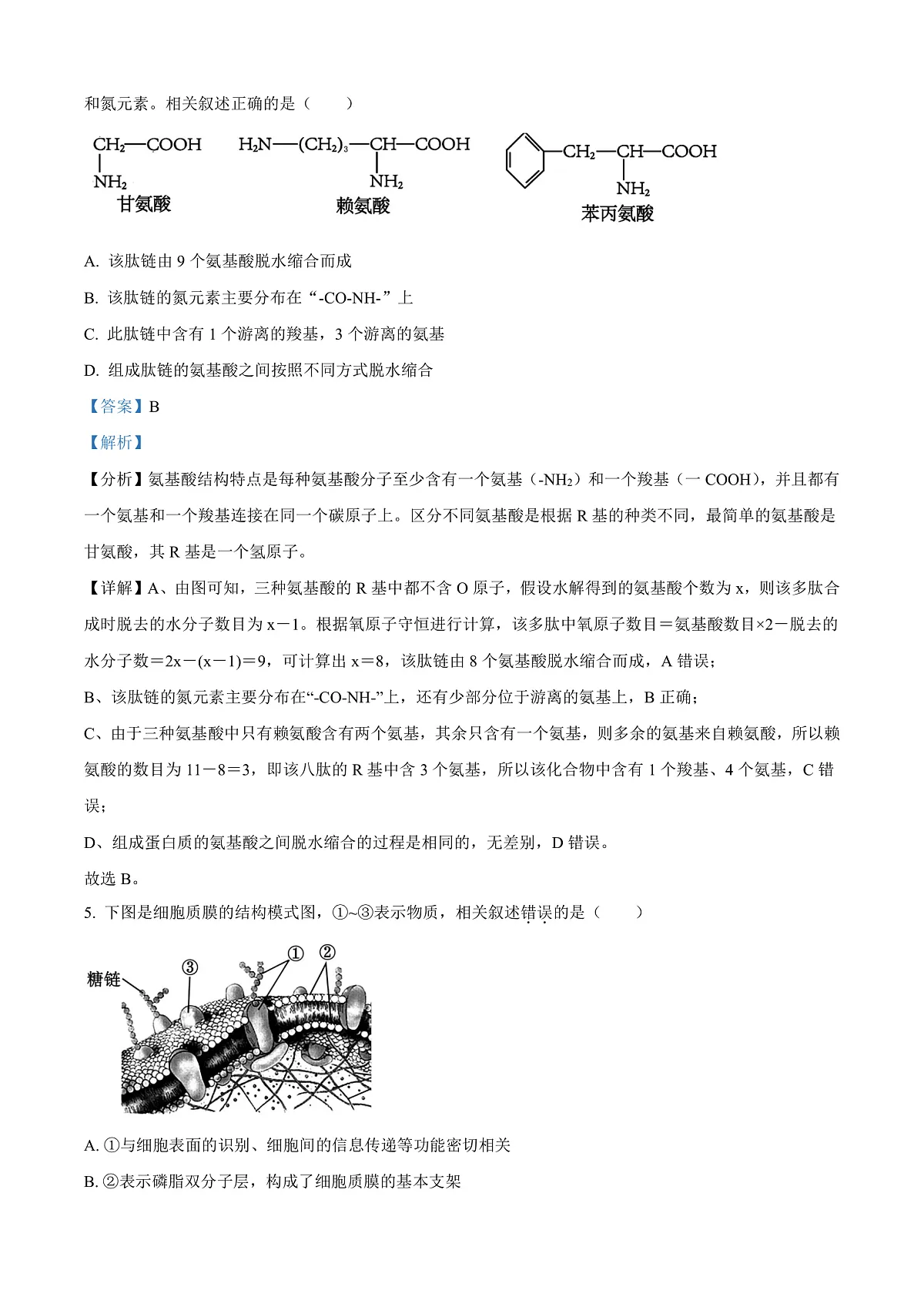 江苏省宿迁市泗阳县2024-2025学年高一上学期期末考试生物试卷 Word版含解析第3页