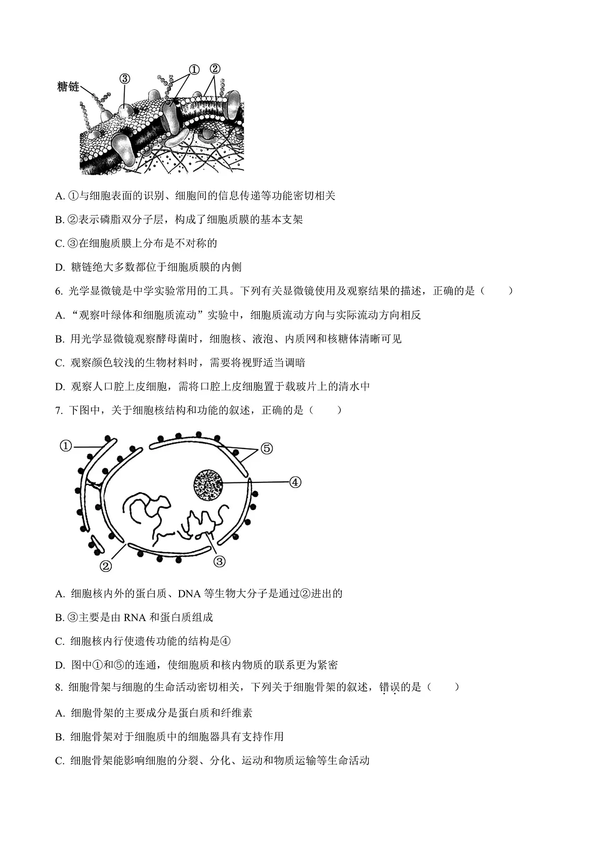 江苏省宿迁市泗阳县2024-2025学年高一上学期期末考试生物试卷 Word版无答案第2页