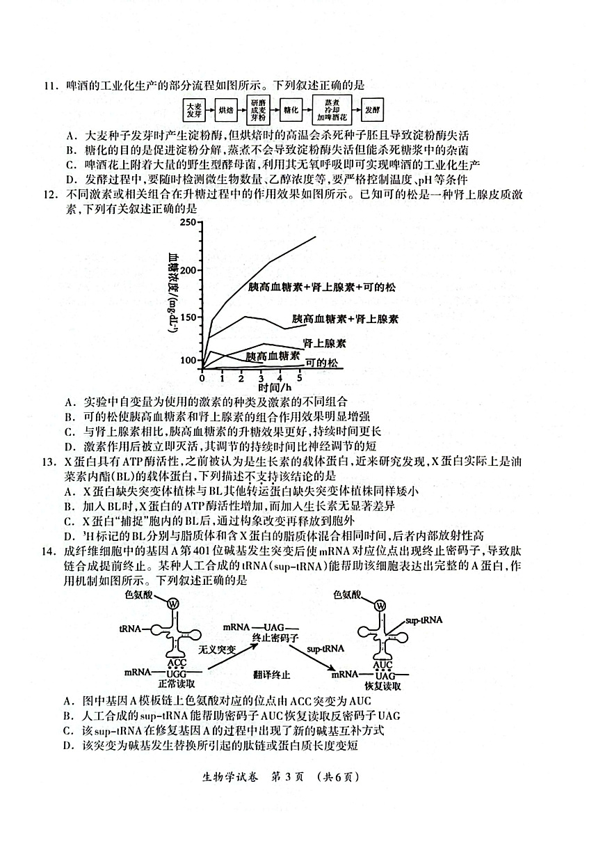 广西2025年3月高三第二次适应性考试生物试卷第3页