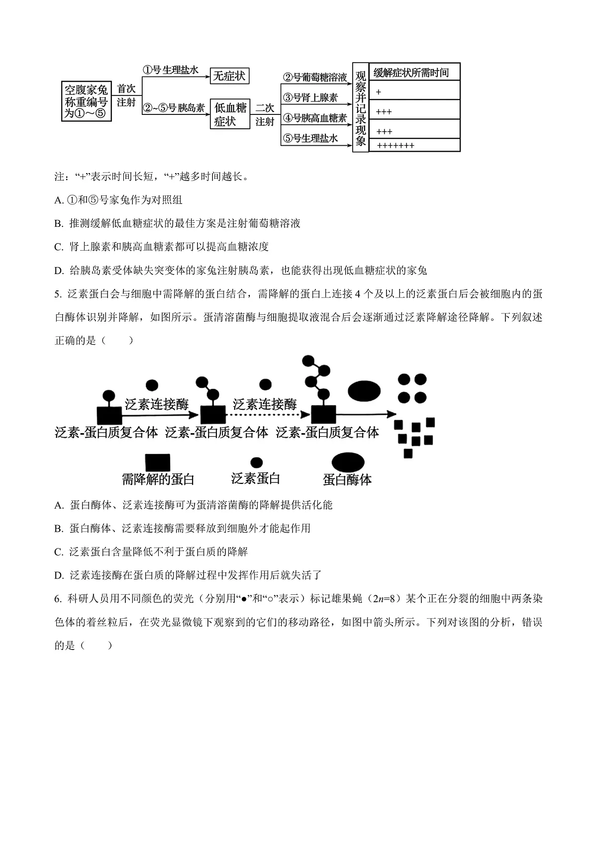 河北省邢台市2024-2025学年高三上学期期末考试生物试题 Word版无答案第2页