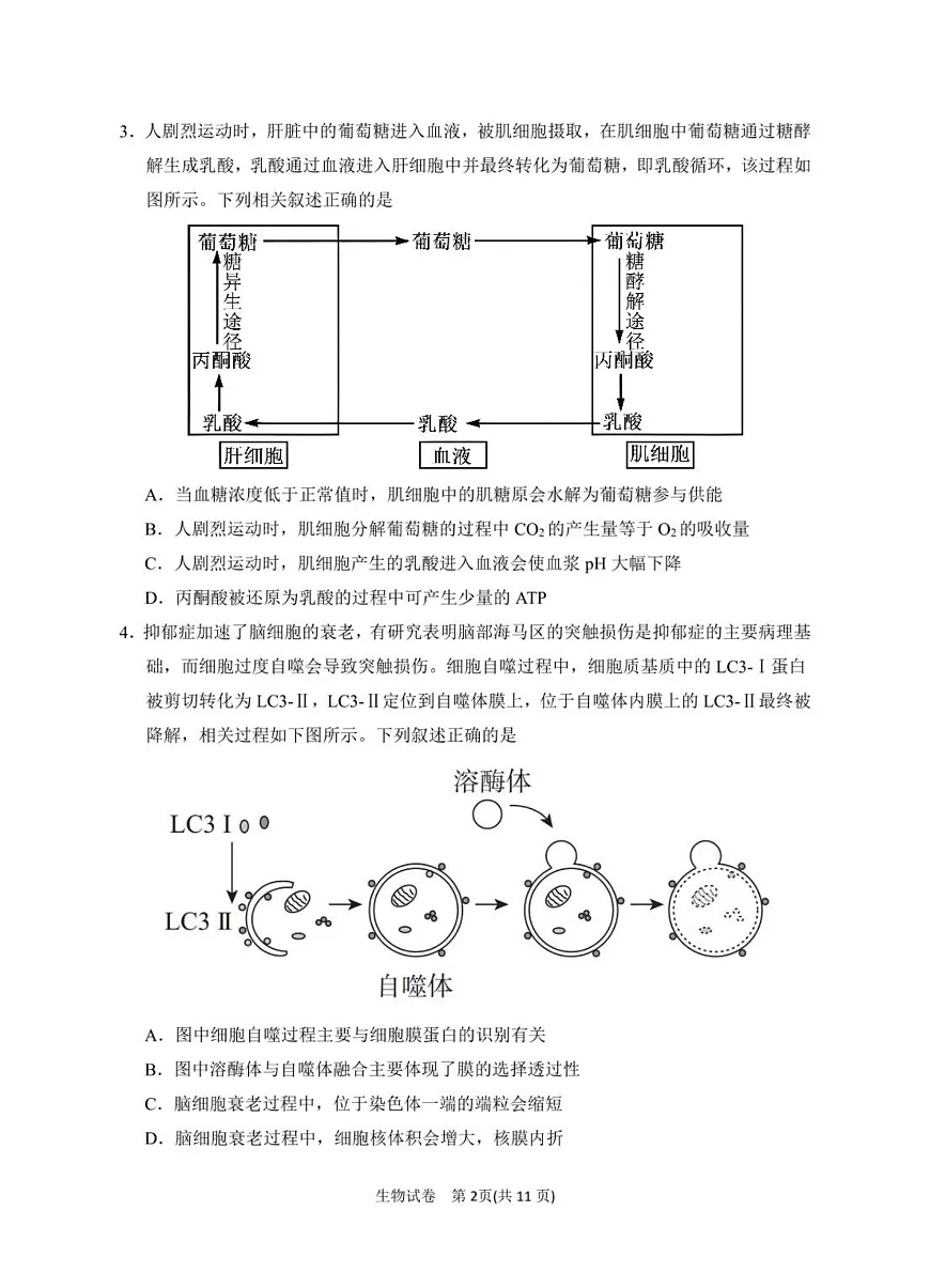 2025届宁夏银川市第一中学高三下学期第一次模拟生物试卷 第2页