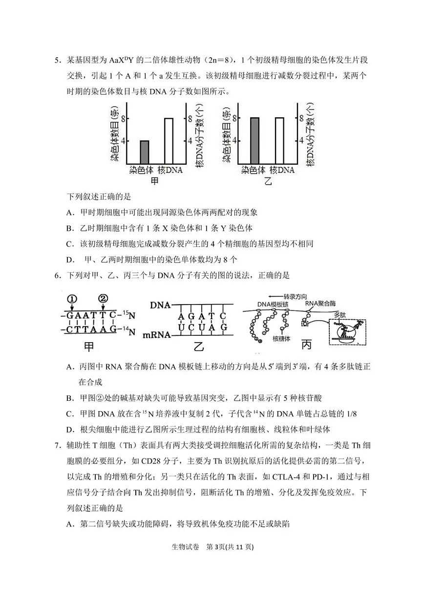 2025届宁夏银川市第一中学高三下学期第一次模拟生物试卷 第3页